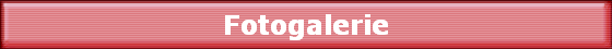 Fotogalerie